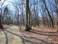 Park im. Stefana Żeromskiego