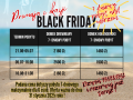 Promocja z okazji „Black Friday” na wakacje 2025! 