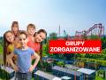 Grupy zorganizowane