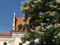 Co robić w Kazimierzu Dolnym w weekend (11-13 maja)?