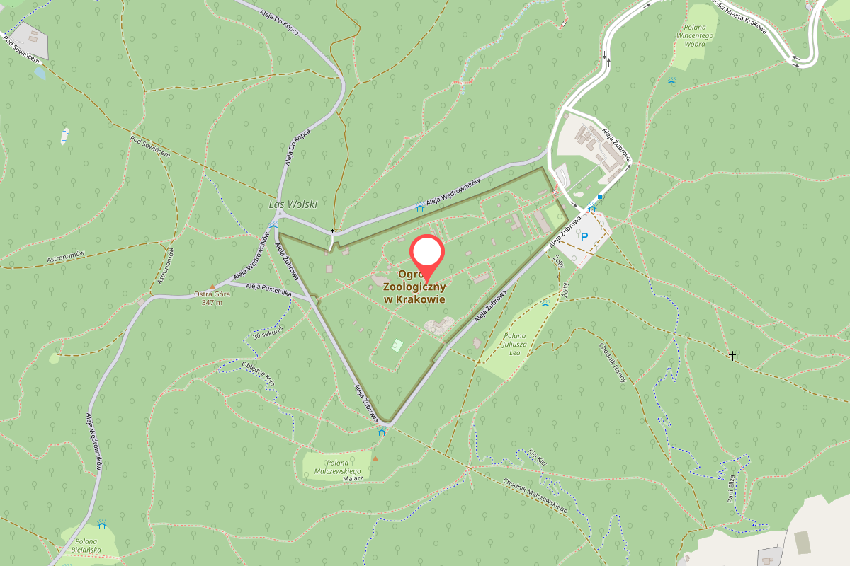 Ogród Zoologiczny Kraków: cennik, bilety, godziny otwarcia, dojazd ...