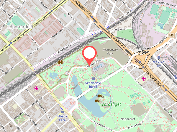 Aguapark Széchenyi Gyógyfürdő - Budapeszt