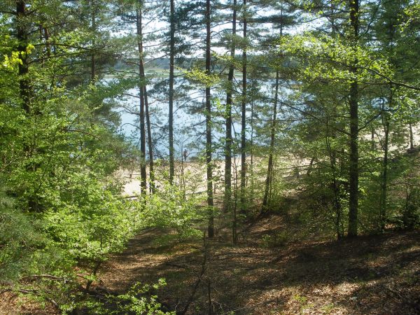 Idealne miejsce na urlop - Zwierzyniec ;)