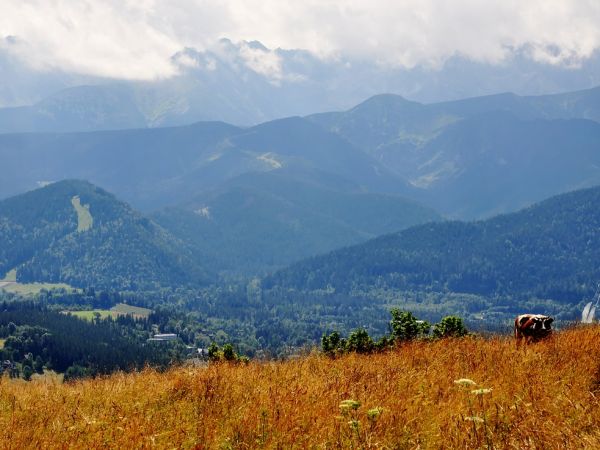 Kościółek i takie tam widoczki.........