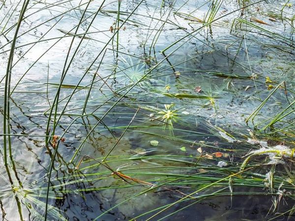 "Konkurs: Podróżuje, bo lubie"