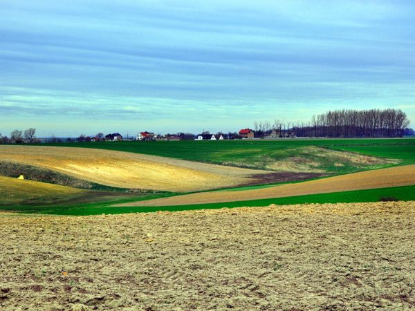 Owsiszcze (niem. Owschütz) – wieś w Polsce położona w województwie śląskim, w powiecie raciborskim, w gminie Krzyżanowice, tuż przy granicy z Czechami. Przed wejściem Polski i Czech do strefy Schengen funkcjonowało tu przejście graniczne Owsiszcze-Píšť.