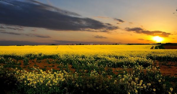 Lubomia – gmina wiejska w województwie śląskim, w powiecie wodzisławskim.