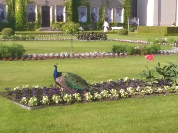 Z wizytą u Zamoyskich w Kozłówce ;)