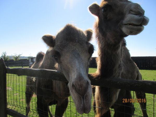 Nocleg i zwiedzanie pięknego ZOO