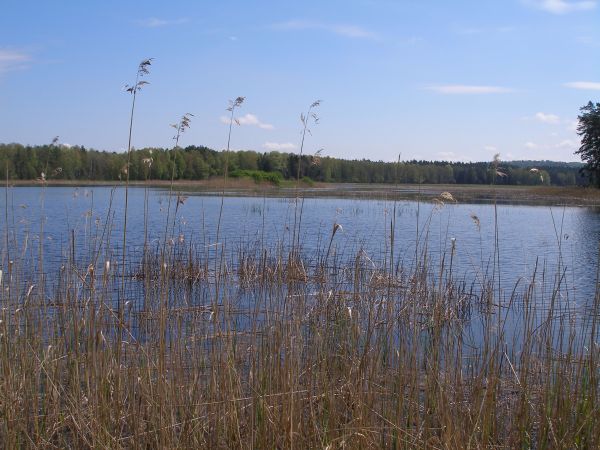 Magiczne Roztocze - Zwierzyniec ;)