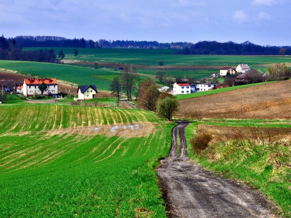 Owsiszcze (niem. Owschütz) – wieś w Polsce położona w województwie śląskim, w powiecie raciborskim, w gminie Krzyżanowice, tuż przy granicy z Czechami. Przed wejściem Polski i Czech do strefy Schengen funkcjonowało tu przejście graniczne Owsiszcze-Píšť.