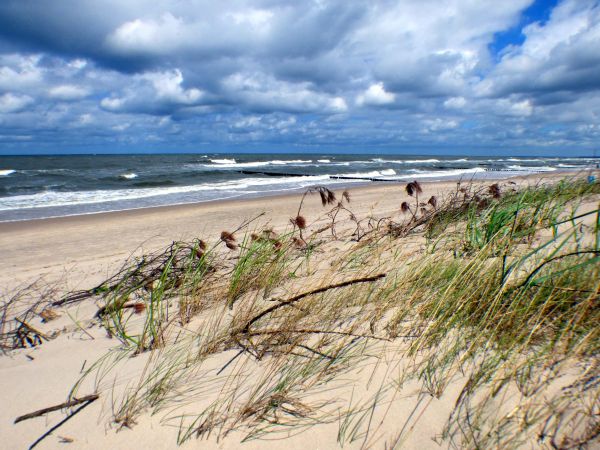 Morza szum  ... ptaków śpiew ... pusta plaża pośród drzew ..
