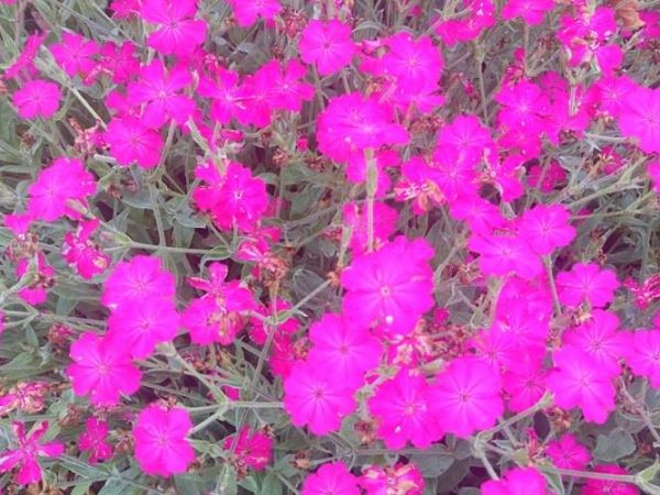 Jeszcze trochę wspomnień z Edynburga...