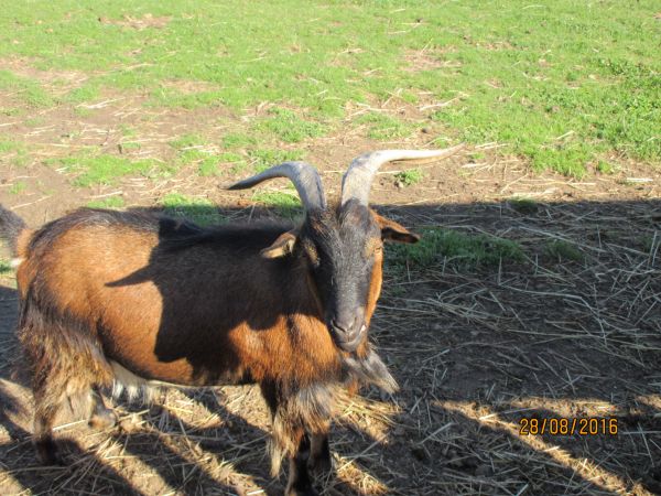 Nocleg i zwiedzanie pięknego ZOO