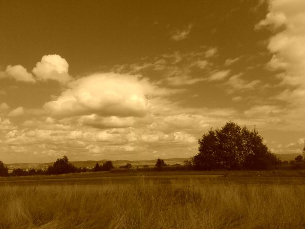 Magiczne Ustrzyki :)