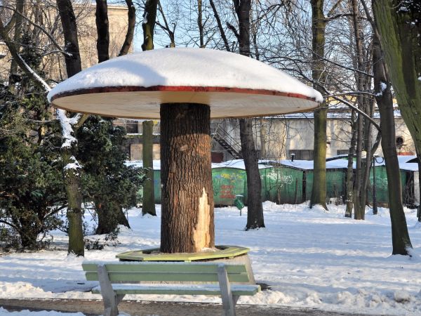 Świąteczny Wodzisław Śl.