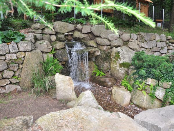 Siruwia Ogród Japoński