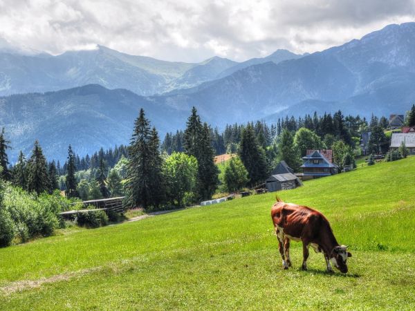 Kościółek i takie tam widoczki.........