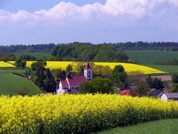 Owsiszcze (niem. Owschütz) – wieś w Polsce położona w województwie śląskim, w powiecie raciborskim, w gminie Krzyżanowice, tuż przy granicy z Czechami. Przed wejściem Polski i Czech do strefy Schengen funkcjonowało tu przejście graniczne Owsiszcze-Píšť.