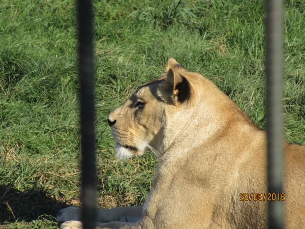 Nocleg i zwiedzanie pięknego ZOO