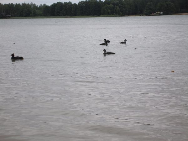 Czerwiec w Okunince ;)