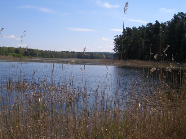 Magiczne Roztocze - Zwierzyniec ;)