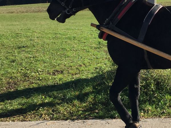 Gubałówka ,Tatrzański park narodowy