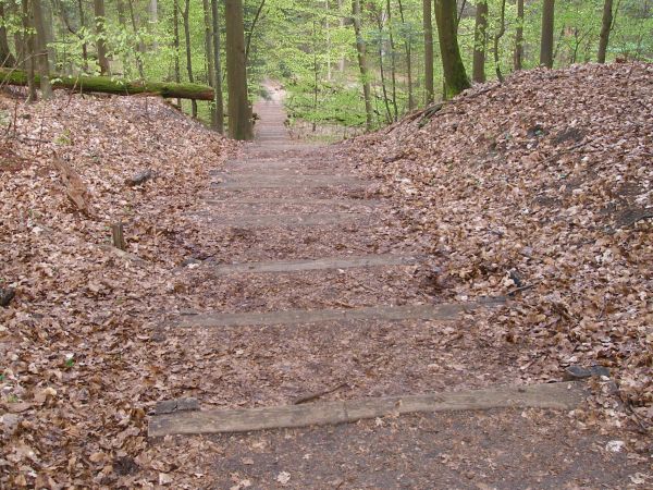 Magiczne Roztocze - Zwierzyniec ;)