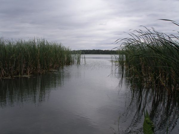 Czerwiec w Okunince ;)