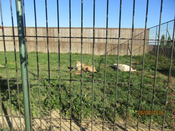 Nocleg i zwiedzanie pięknego ZOO