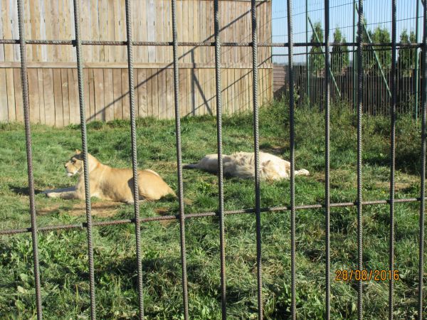 Nocleg i zwiedzanie pięknego ZOO