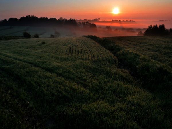 Lubomia – gmina wiejska w województwie śląskim, w powiecie wodzisławskim.