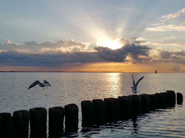 Plaża Międzyzdroje przed zachodem