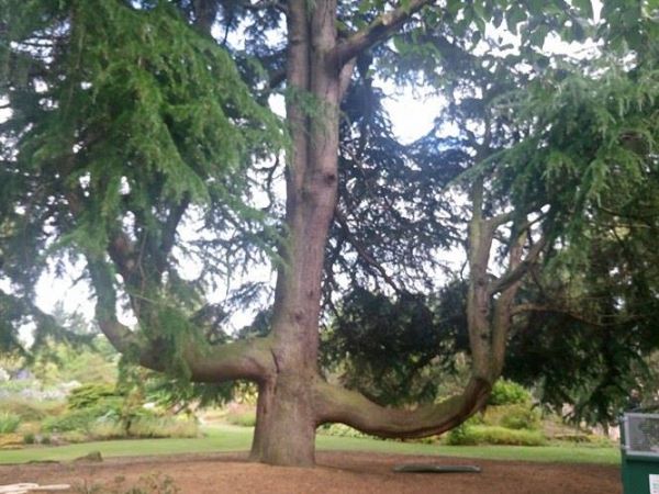 Jeszcze trochę wspomnień z Edynburga...