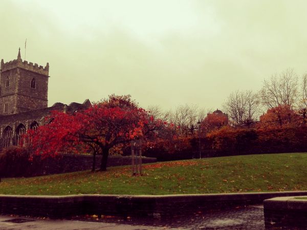 Ruiny kościoła Św. Piotra w Castle Park