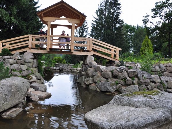 Siruwia Ogród Japoński