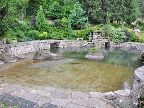 Siruwia Ogród Japoński