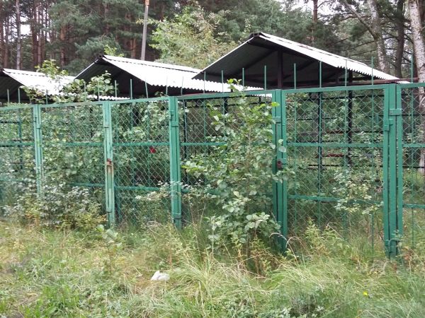 Wypoczynek dla konesera.