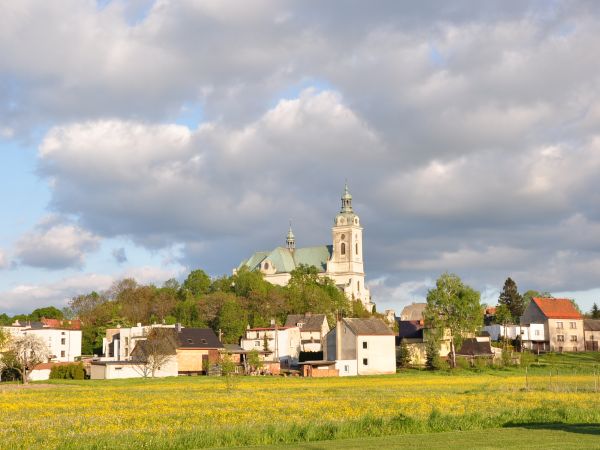 Kościół pw. św. Wacława