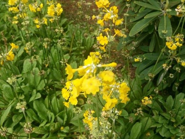 Jeszcze trochę wspomnień z Edynburga...