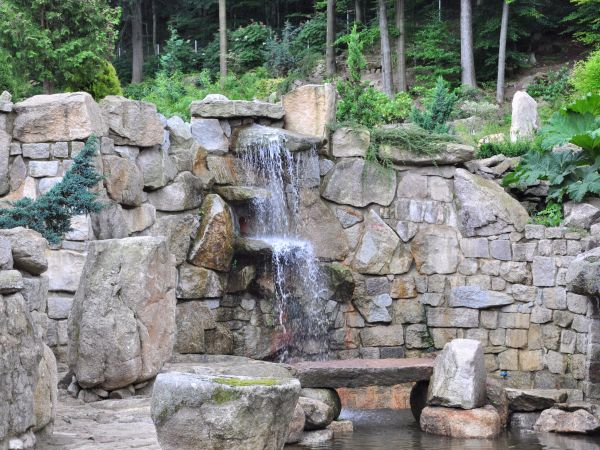 Siruwia Ogród Japoński