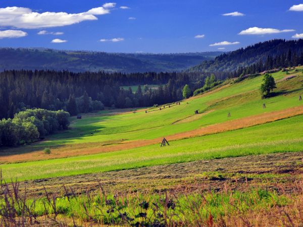 Murzasichle i okolice