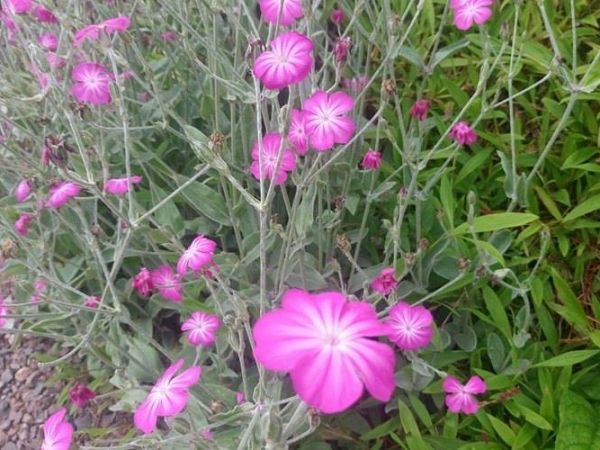 Jeszcze trochę wspomnień z Edynburga...