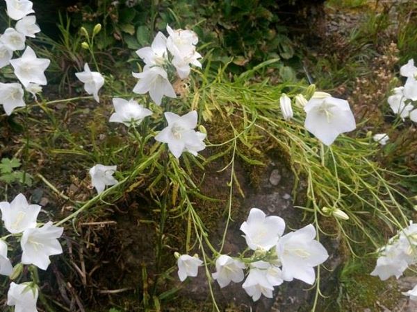 Jeszcze trochę wspomnień z Edynburga...