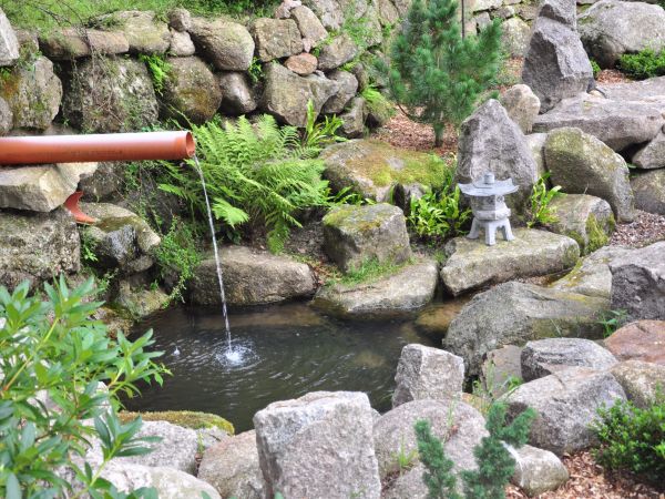 Siruwia Ogród Japoński