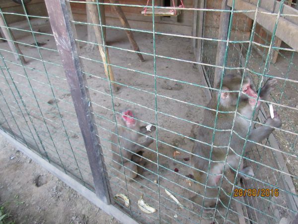 Nocleg i zwiedzanie pięknego ZOO