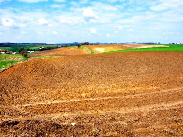 Owsiszcze (niem. Owschütz) – wieś w Polsce położona w województwie śląskim, w powiecie raciborskim, w gminie Krzyżanowice, tuż przy granicy z Czechami. Przed wejściem Polski i Czech do strefy Schengen funkcjonowało tu przejście graniczne Owsiszcze-Píšť.