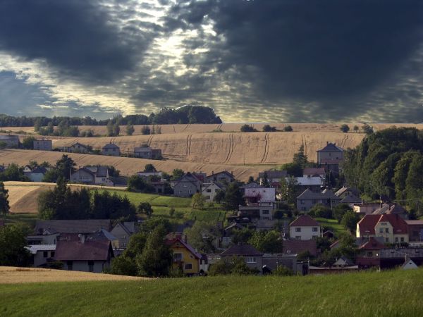 Owsiszcze (niem. Owschütz) – wieś w Polsce położona w województwie śląskim, w powiecie raciborskim, w gminie Krzyżanowice, tuż przy granicy z Czechami. Przed wejściem Polski i Czech do strefy Schengen funkcjonowało tu przejście graniczne Owsiszcze-Píšť.