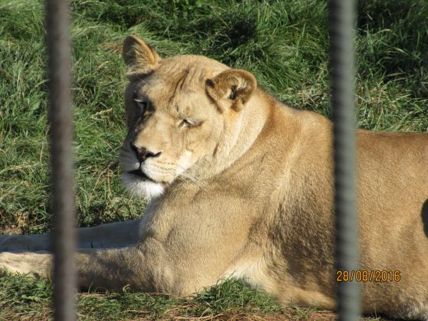 Nocleg i zwiedzanie pięknego ZOO