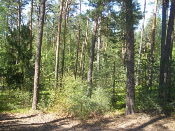 Idealne miejsce na urlop - Zwierzyniec ;)